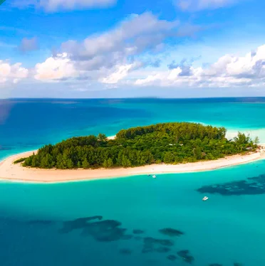 Mnemba Island + żółwie wodne