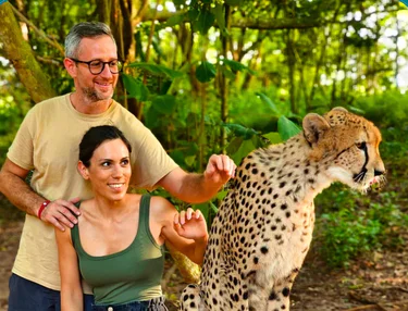 Cheetah's Rock